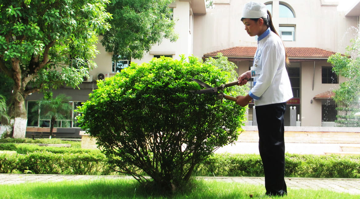 Nhập tên dịch vụ gì gì đó Nhập tên dịch vụ gì gì đó